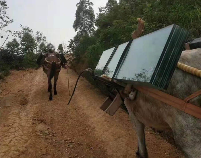 雷州市马帮运输工程队